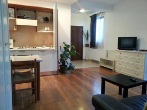 Гостиница Banu Manta Apartments  Бухарест